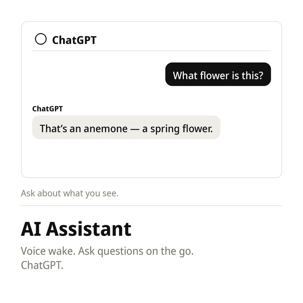 ChatGPT AI Assistant
