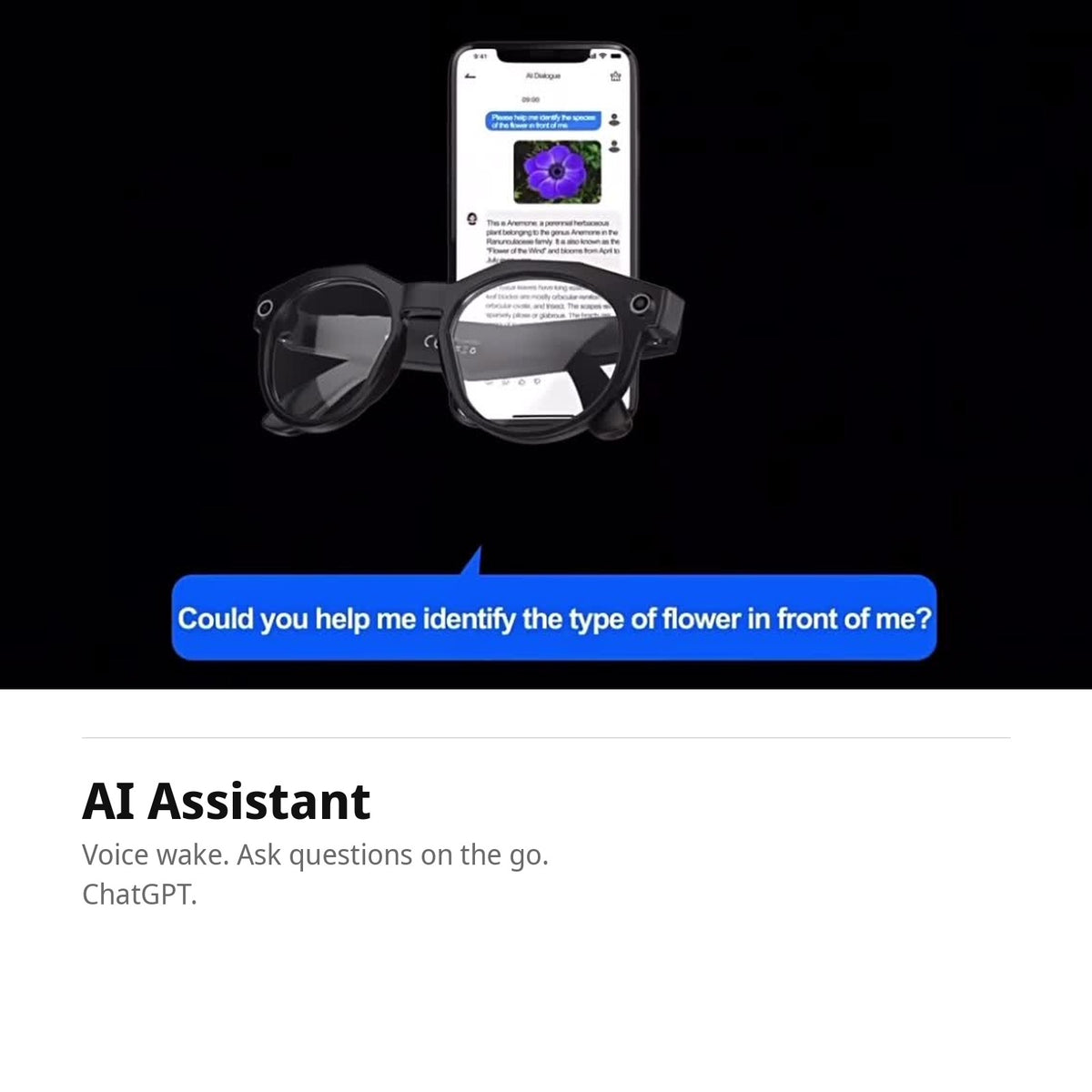 PRONOIA 01 AI assistant